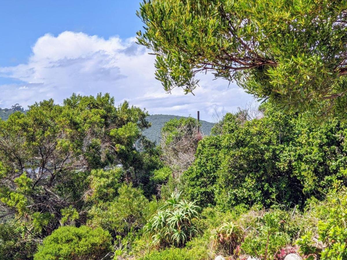 Villa Cape Garden Route Wilderness Ngoại thất bức ảnh